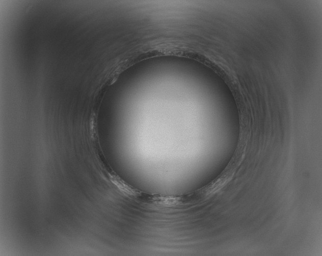 X0000074310288200608251013