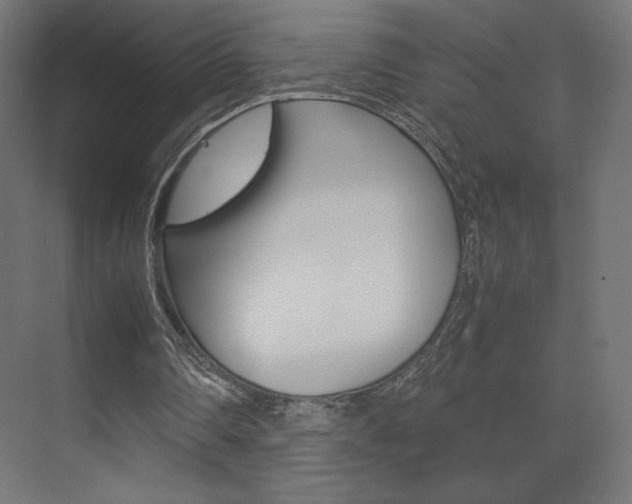 X0000074310290200608251012