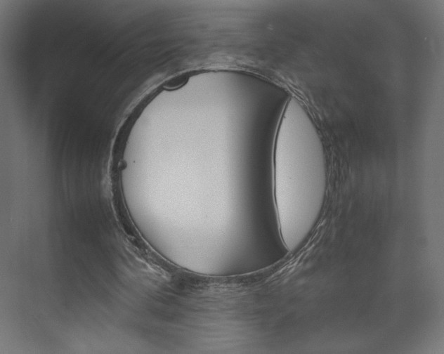 X0000074310292200608251012