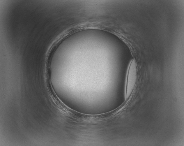 X0000074310293200608251012