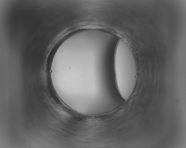X0000074310296200608251012