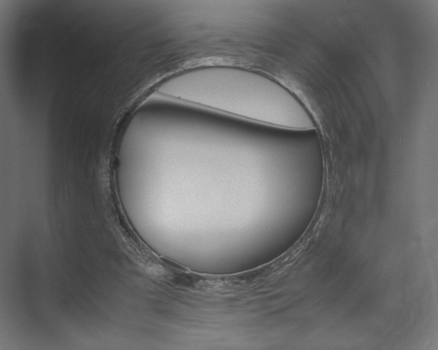 X0000074310297200608251012