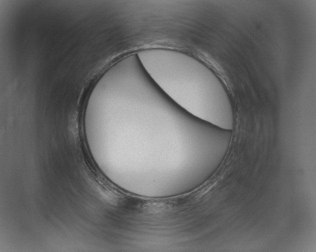 X0000074310298200608251012