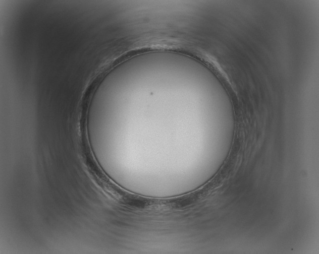 X0000074310299200608251012