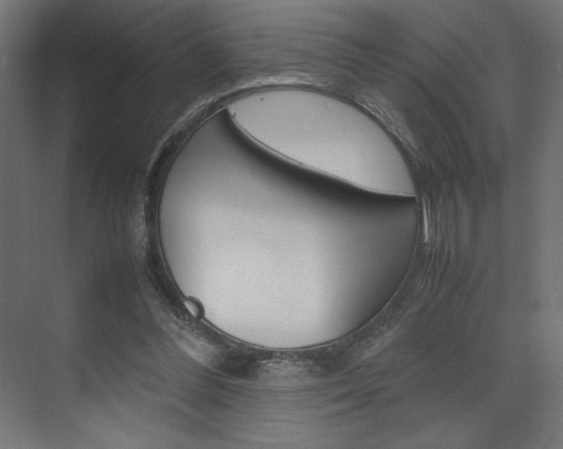 X0000074310300200608251012