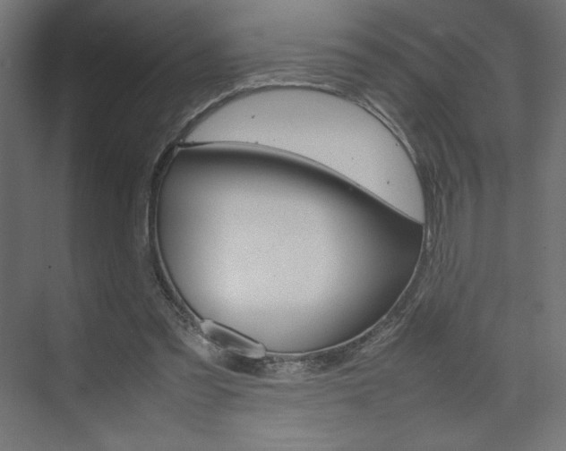 X0000074310301200608251012