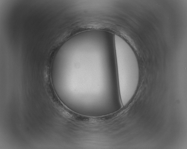 X0000074310305200608251011