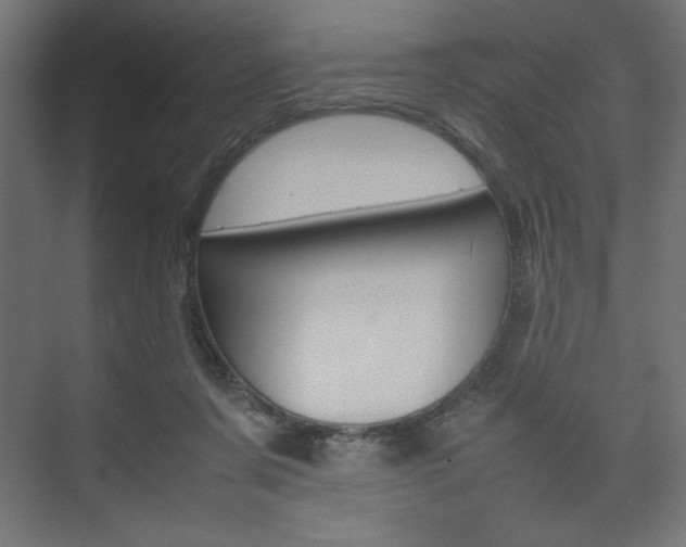 X0000074310311200608251011