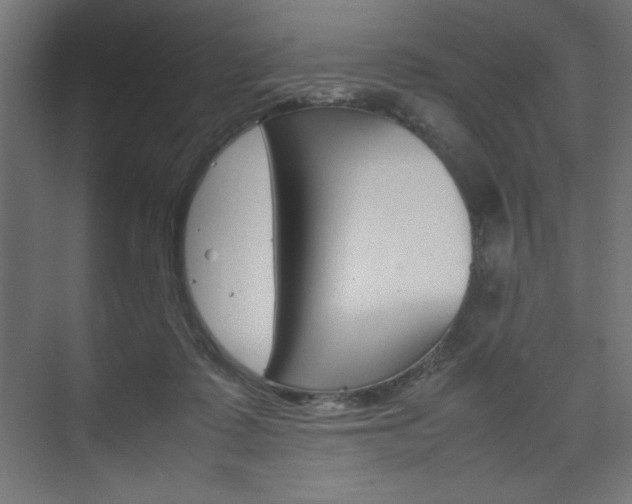 X0000074310315200608251011