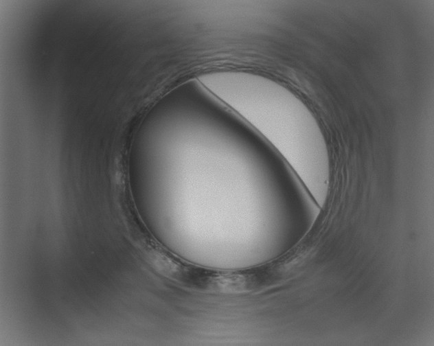 X0000074310317200608251011