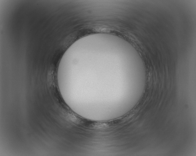 X0000074310322200608251011