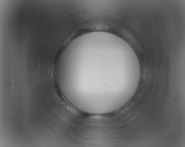 X0000074310326200608251011