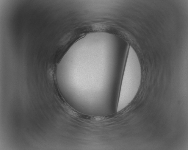 X0000074310329200608251011