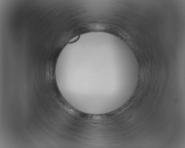 X0000074310330200608251011