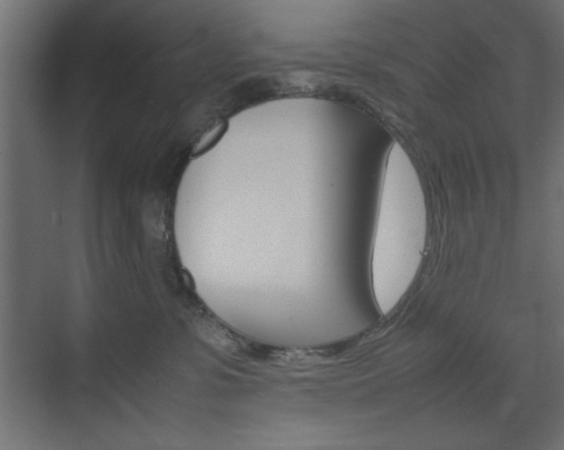 X0000074310331200608251011