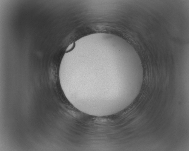 X0000074310332200608251011