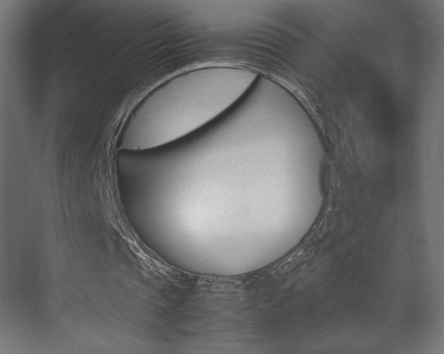 X0000074310337200608251010