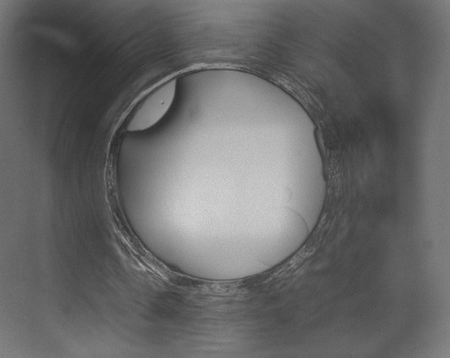 X0000074310338200608251010