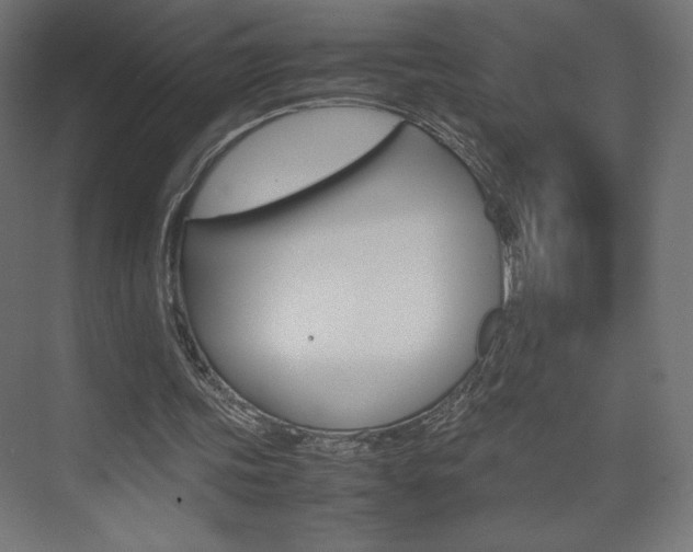 X0000074310339200608251010