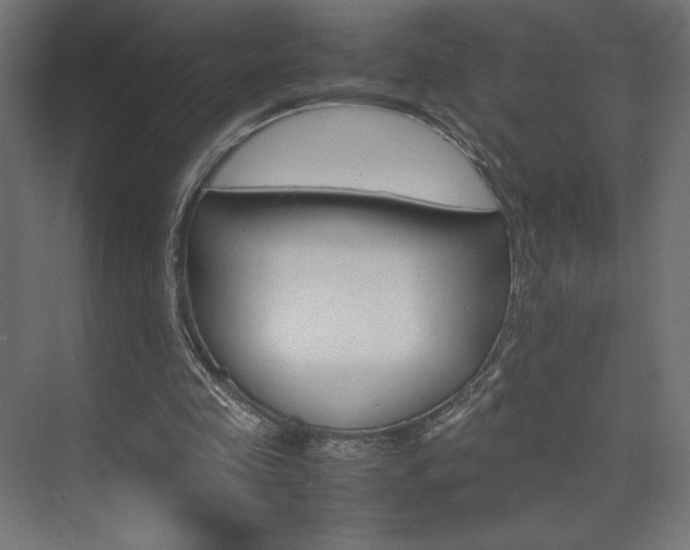 X0000074310341200608251010