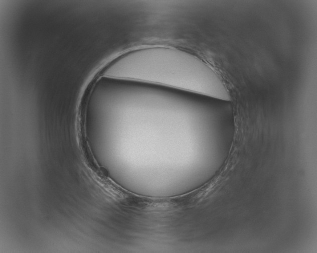 X0000074310342200608251010