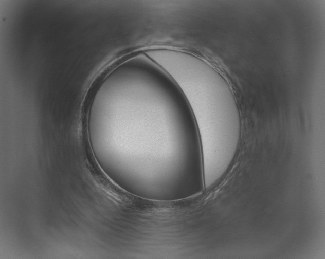 X0000074310344200608251010