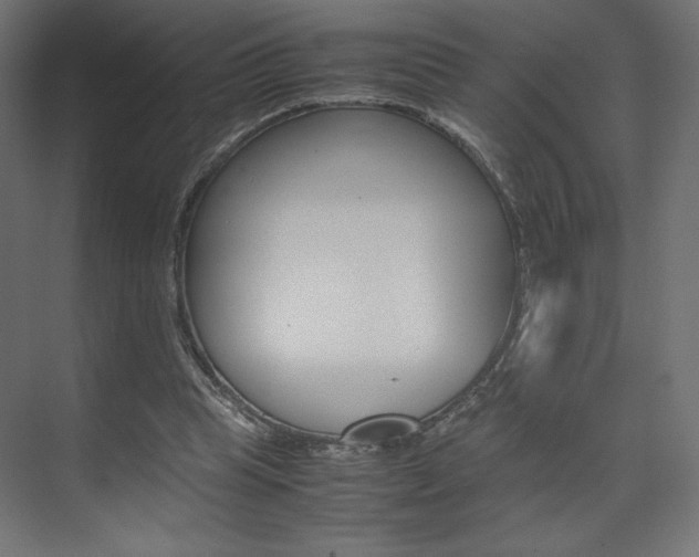 X0000074310345200608251010