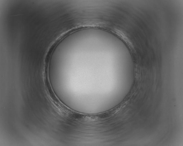 X0000074310346200608251010