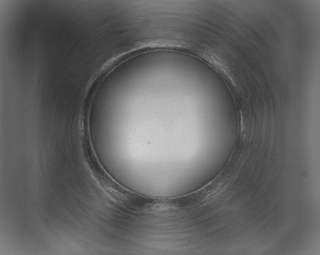 X0000074310348200608251010