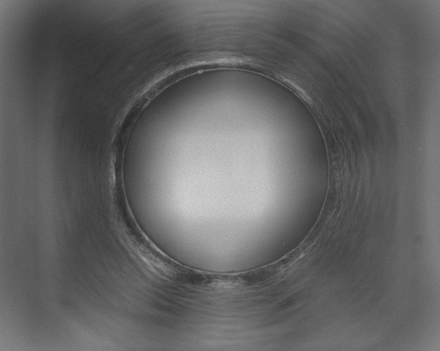 X0000074310350200608251010
