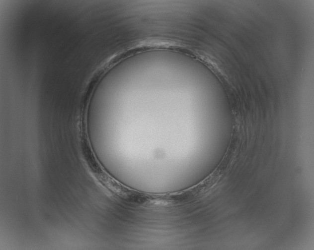 X0000074310352200608251010