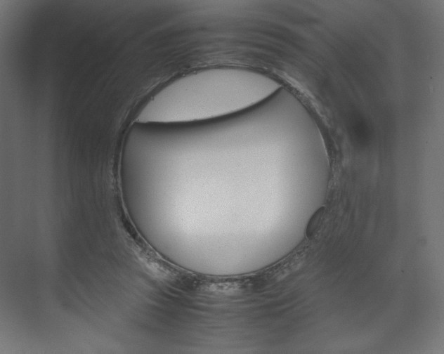 X0000074310353200608251010