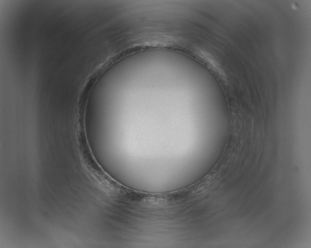 X0000074310354200608251010