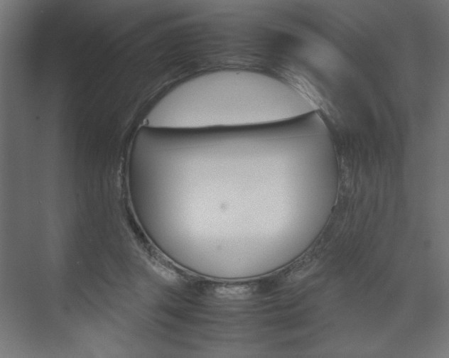 X0000074310357200608251010