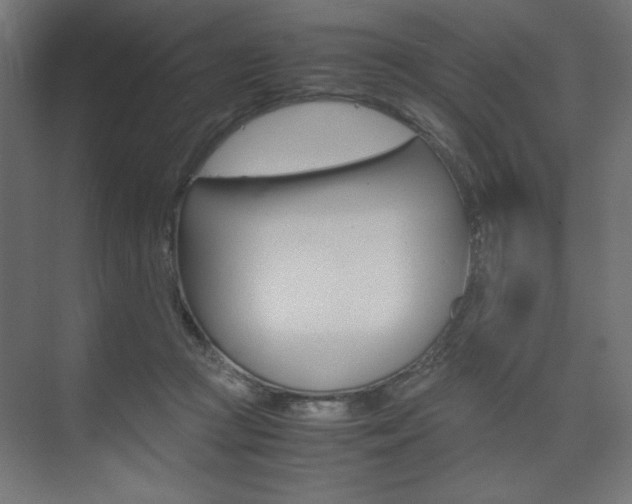 X0000074310361200608251011