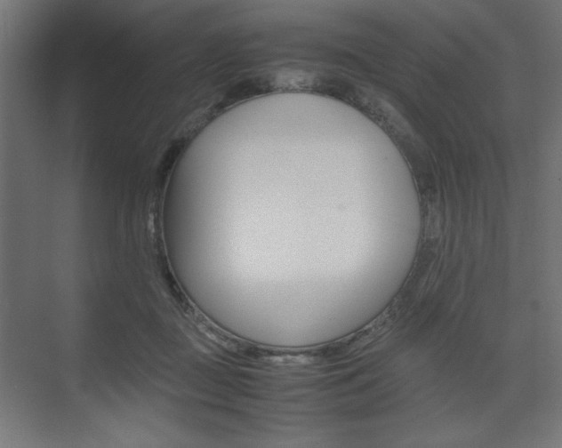 X0000074310363200608251011