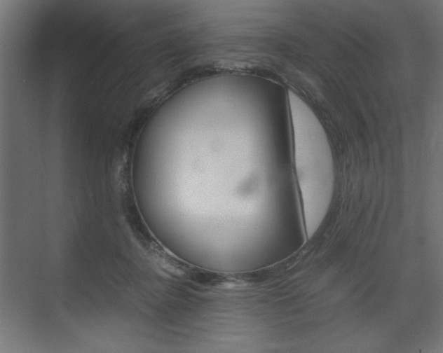 X0000074310364200608251011