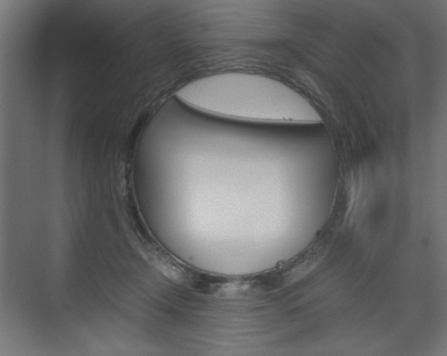 X0000074310366200608251011