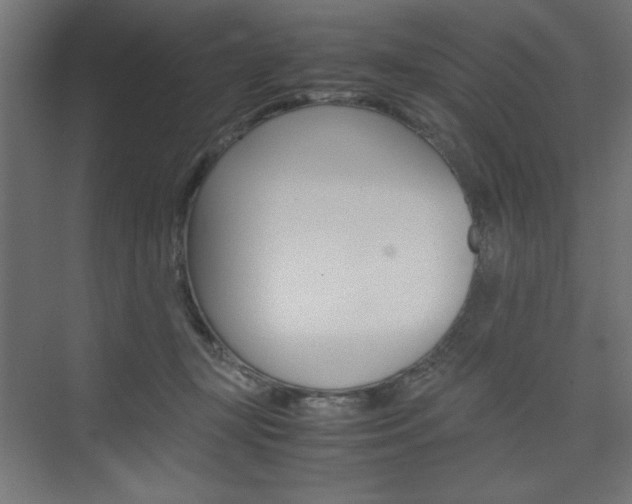 X0000074310367200608251011