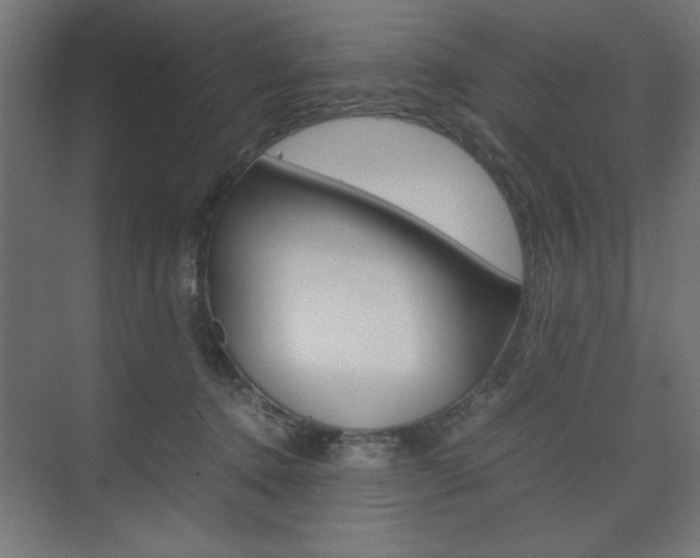 X0000074310368200608251011