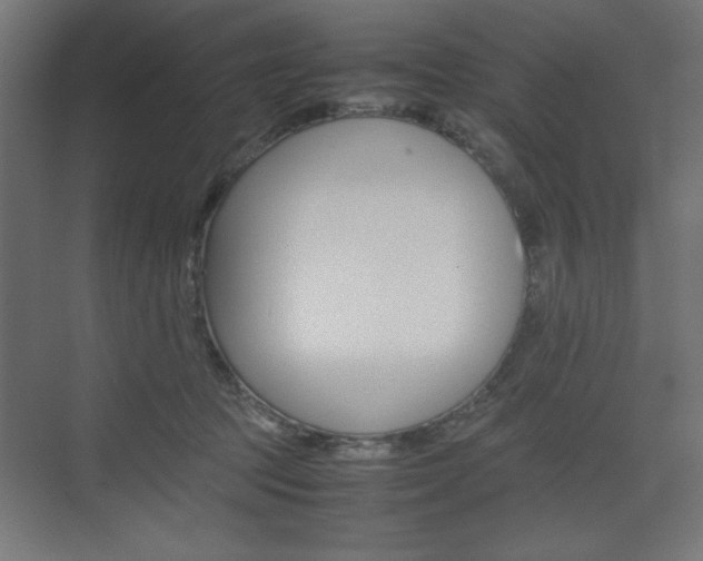 X0000074310369200608251011