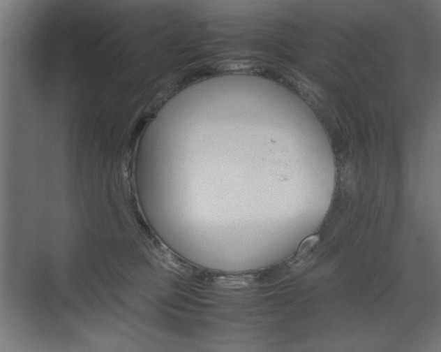 X0000074310373200608251011