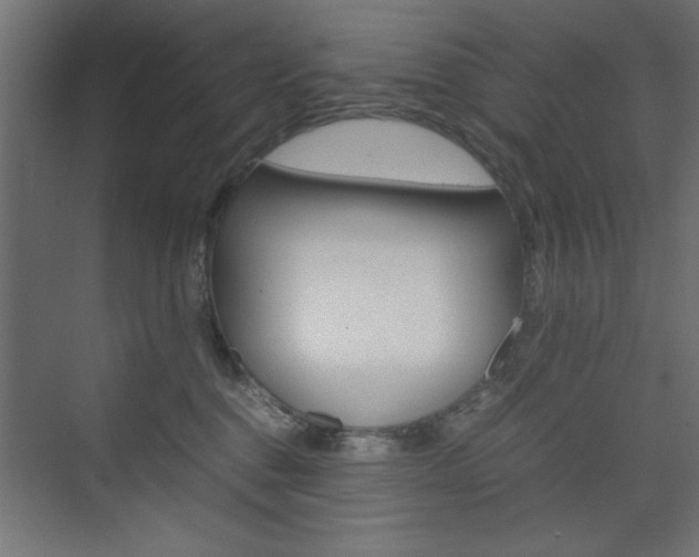 X0000074310376200608251011