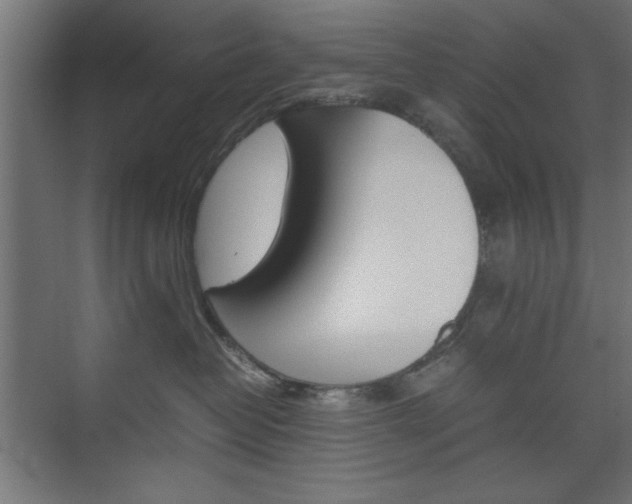 X0000074310382200608251011