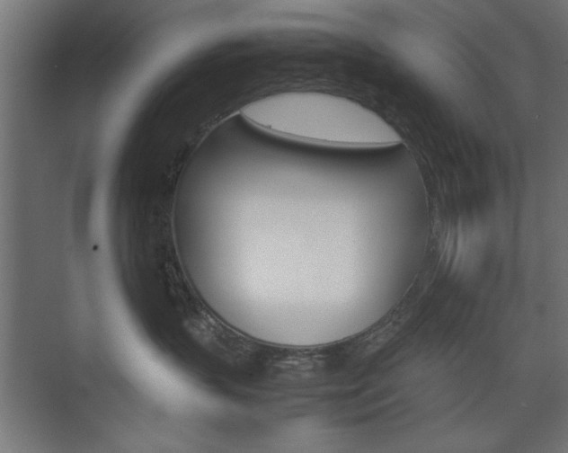 X0000074310383200608251011