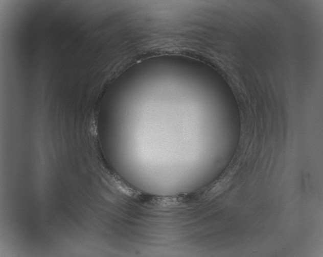 X0000074310384200608251011