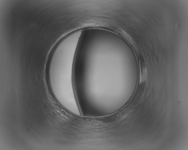 X0000074310387200608251010