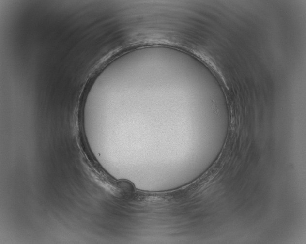 X0000074310390200608251010