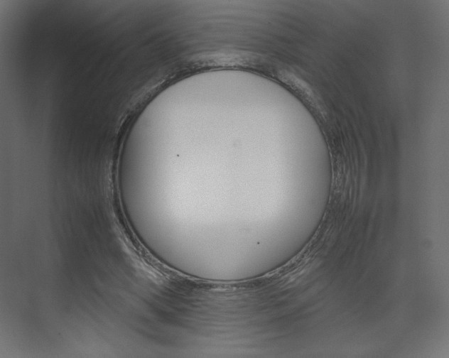 X0000074310394200608251010