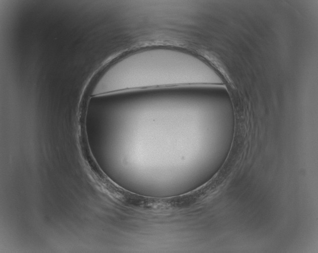 X0000074310395200608251010
